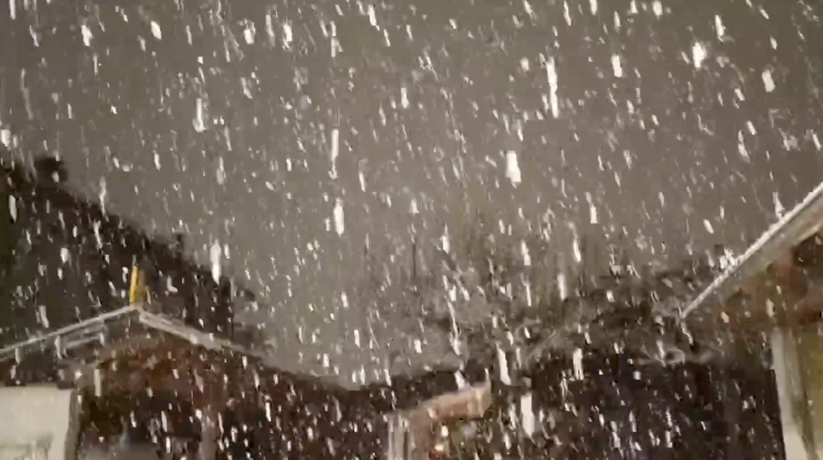 Neve in Piemonte e Lombardia, anche in pianura | video Neve in Piemonte e Lombardia, anche in pianura | video