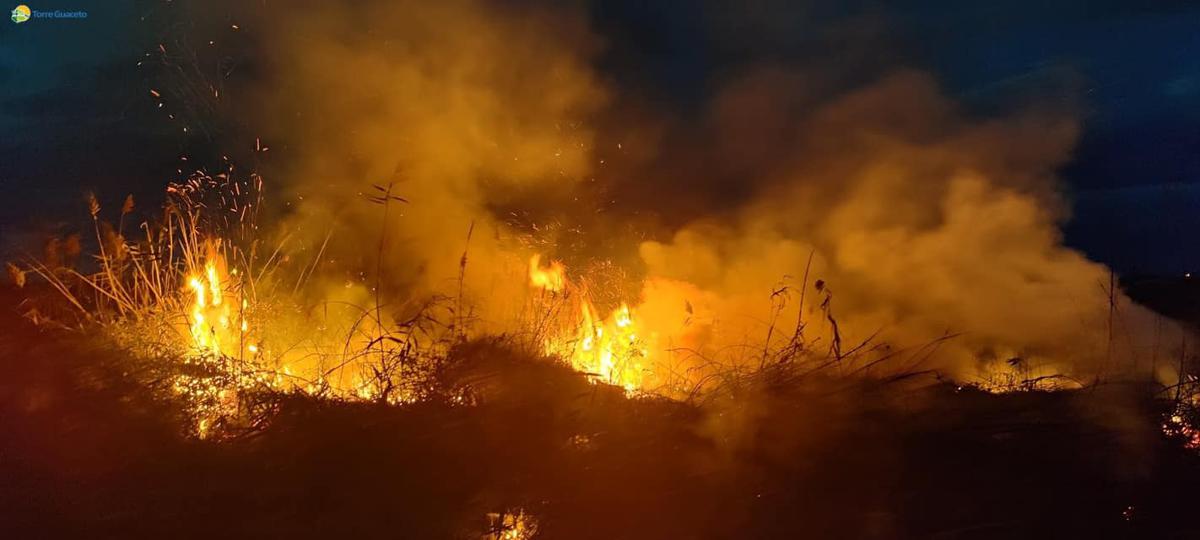 Torre Guaceto, incendio circoscritto: si pensa al tentativo doloso Torre Guaceto, incendio circoscritto: si pensa al tentativo doloso