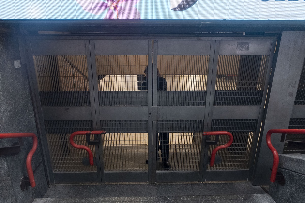 Milano: revocato lo sciopero di Ferrovienord, restano aperte le metro M1, M2, M4 ed M5 Milano: revocato lo sciopero di Ferrovienord, restano aperte le metro M1, M2, M4 ed M5