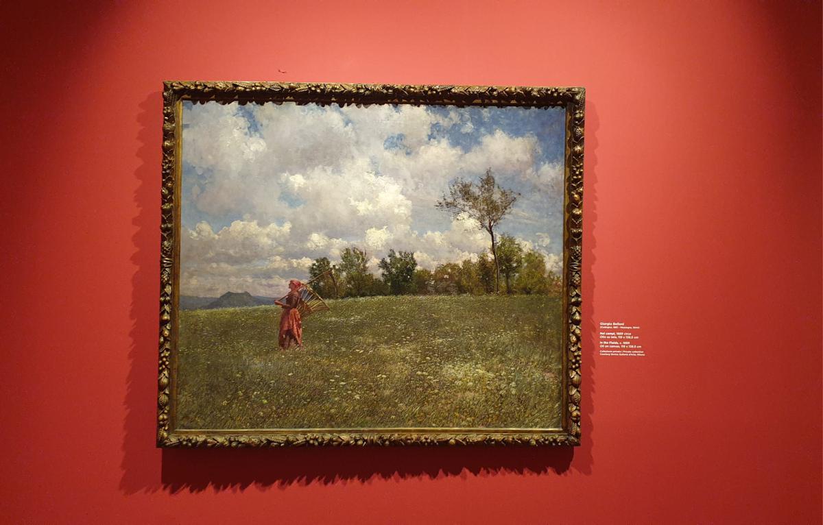 Il paesaggio come realtà, impressione e simbolo: la mostra al Castello di Novara