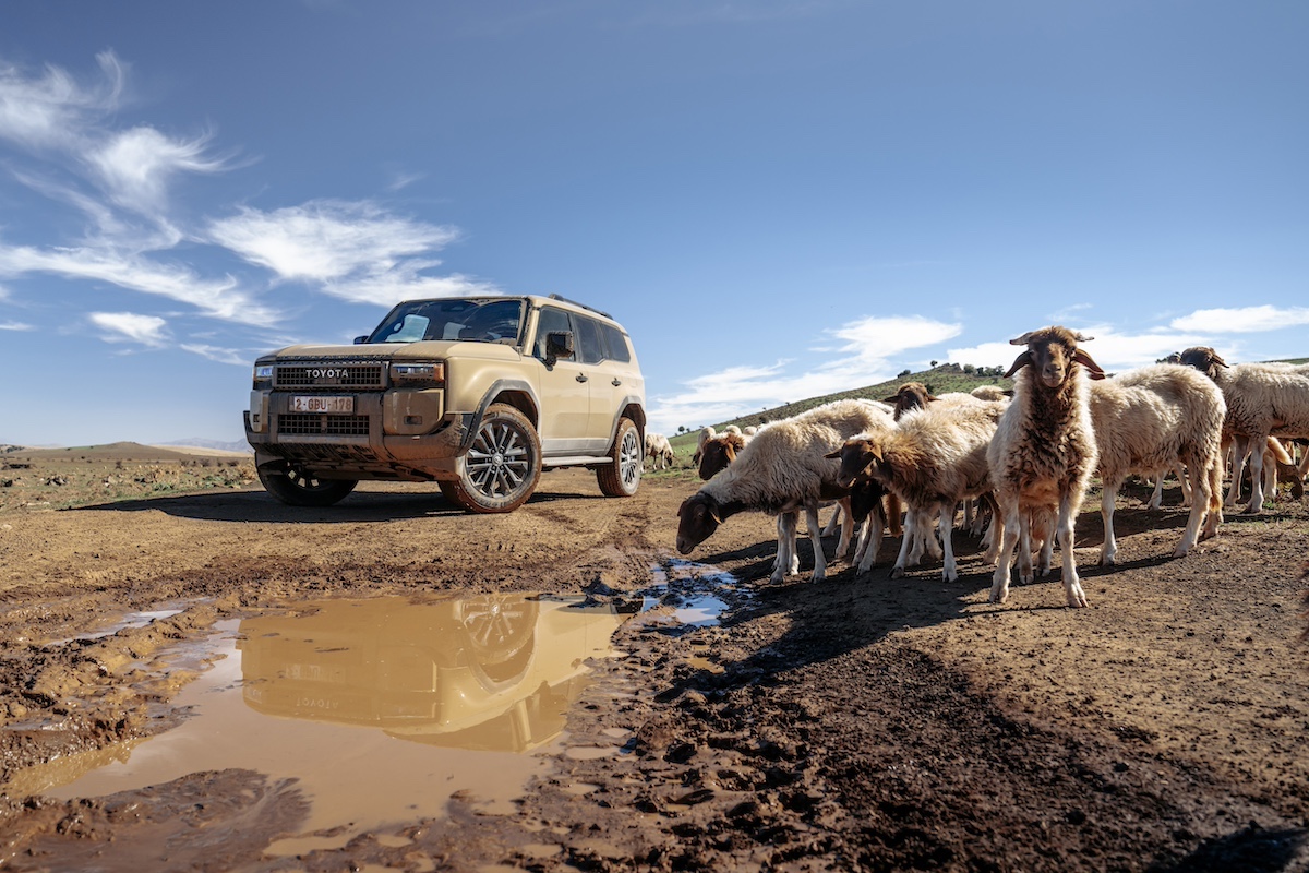 Nuovo Toyota Land Cruiser 250: tradizione e innovazione per un’icona fuoristrada