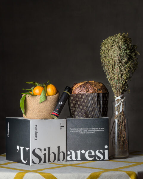 I migliori panettoni d’Italia per un Natale davvero dolce (per tutte le tasche)