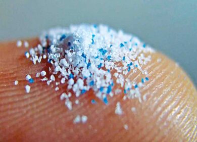 Il polistirolo uccide trote e orate. Il CNR fornisce le prove sugli effetti delle nanoplastiche nei mari e nei fiumi