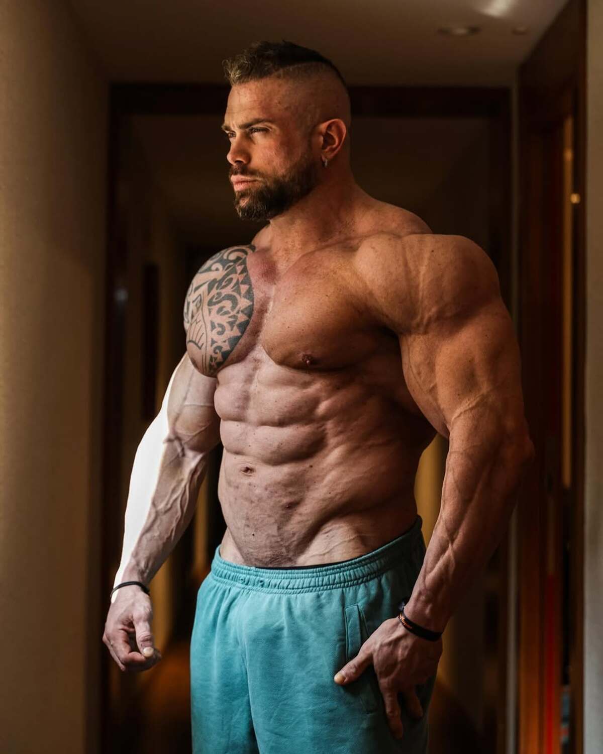 Andrea Presti, il bodybuilder più famoso d’Italia si butta nel mondo immobiliare: nasce la holding Srl a suo nome Andrea Presti, il bodybuilder più famoso d’Italia si butta nel mondo immobiliare: nasce la holding Srl a suo nome