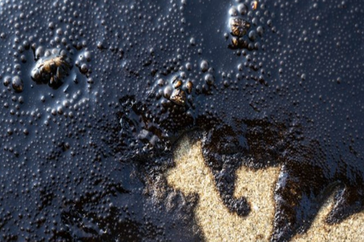 Russia, tempesta affonda due petroliere: disastro ecologico nello stretto di Kerch Russia, tempesta affonda due petroliere: disastro ecologico nello stretto di Kerch