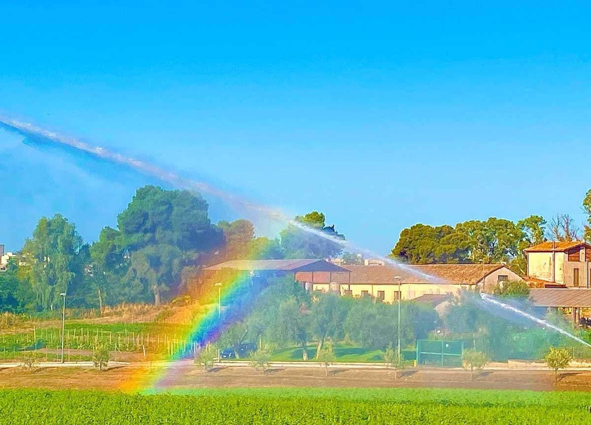 Ricreazione da 10 minuti, la rivolta all’Agrario Garibaldi di Roma contro un muro: “Sempre e comunque 10 minuti”