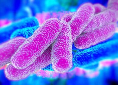 Paura legionella nel cuore di Milano: il batterio nel quartiere vip