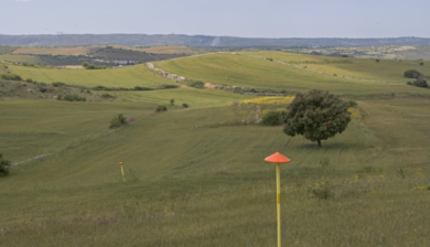 Snam confermata per il quindicesimo anno nel Dow Jones Sustainability World Index