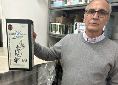 Olio extravergine di oliva, il 2024 è al top per qualità: i report e i costi