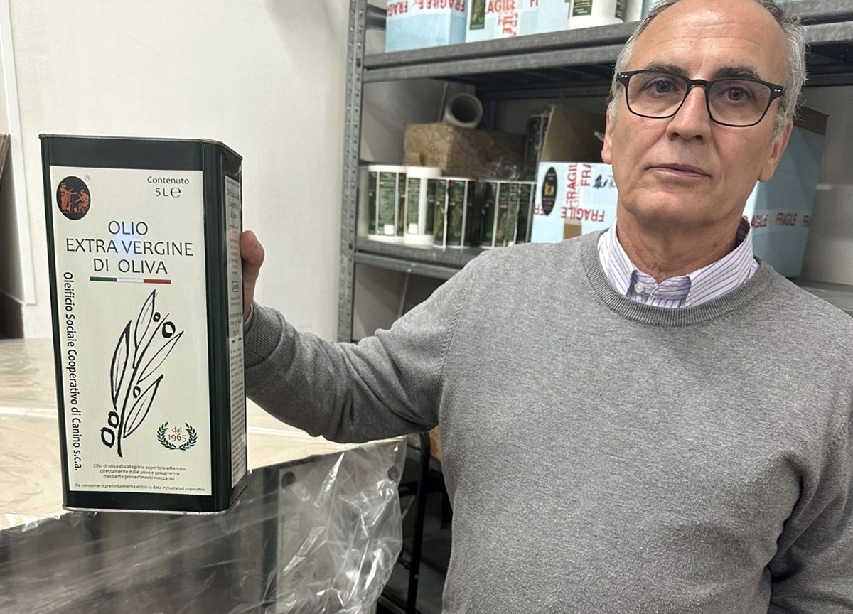 Olio extravergine di oliva, il 2024 è al top per qualità: i report e i costi Olio extravergine di oliva, il 2024 è al top per qualità: i report e i costi