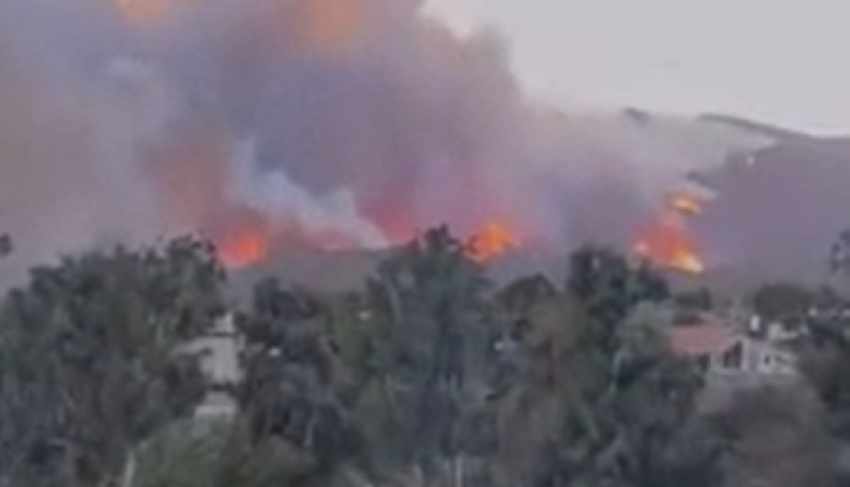 Los Angeles colpita dagli incendi, il video di Tiger Woods fa il giro del web Los Angeles colpita dagli incendi, il video di Tiger Woods fa il giro del web