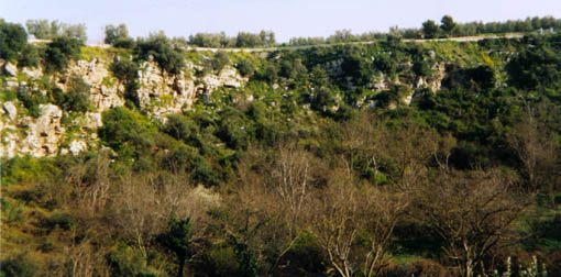 Il Gurgo di Andria: tra le doline di Puglia da salvaguardare Il Gurgo di Andria: tra le doline di Puglia da salvaguardare