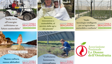 Premio Danila Bragantini: sono 5 i progetti finalisti della nuova edizione dedicata all’innovazione sostenibile