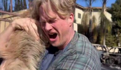 Los Angeles brucia ancora, un uomo ritrova il suo cane vivo dopo 5 giorni di incendi. VIDEO