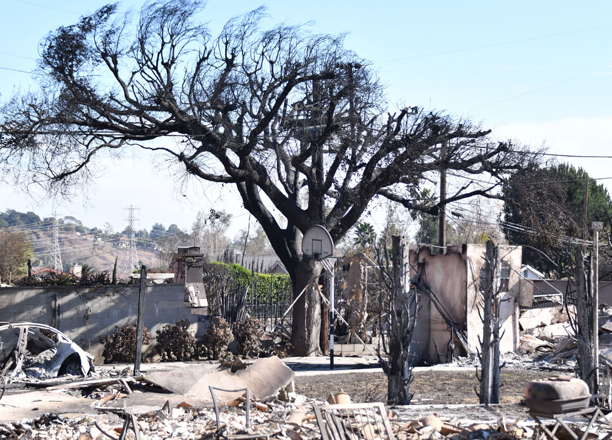 Emergenza Los Angeles: dopo i roghi l’aria è irrespirabile e le app sulla qualità sotto accusa