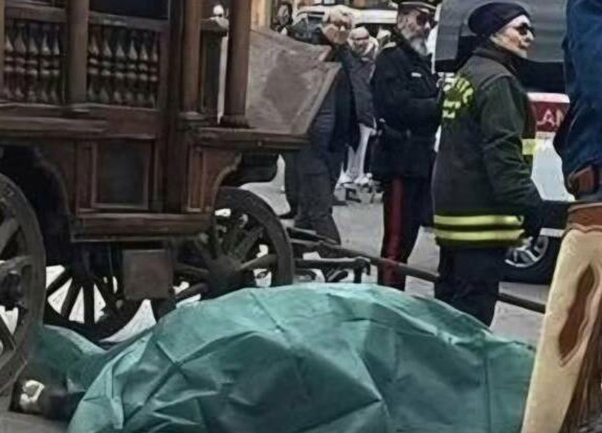 Cavallo muore trainando un carro al corteo di Sant’Antonio, protettore degli animali Cavallo muore trainando un carro al corteo di Sant’Antonio, protettore degli animali