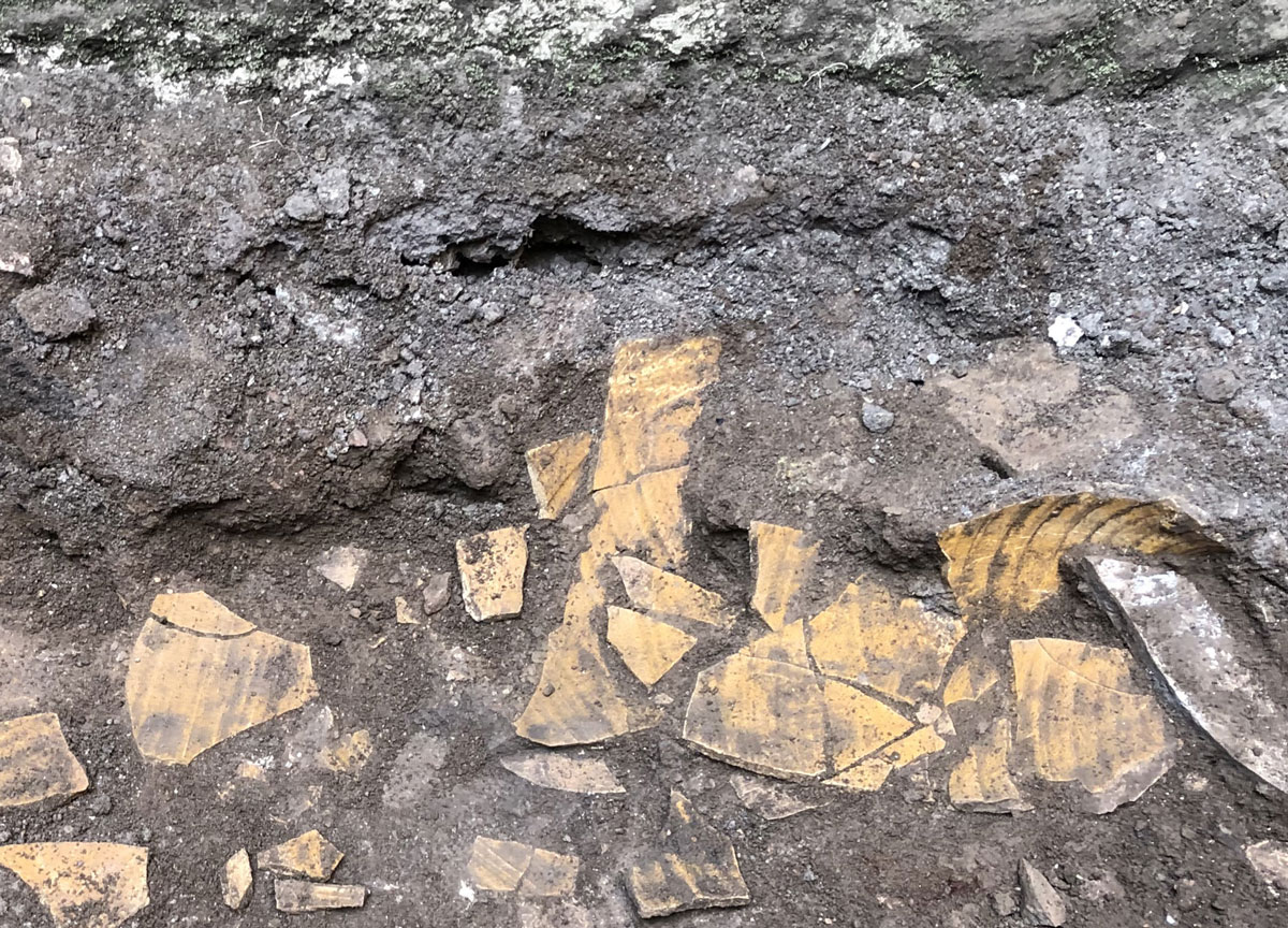 La Domus Aurea come non l’avete mai vista: blu egizio, ocra gialla e rosso La Domus Aurea come non l’avete mai vista: blu egizio, ocra gialla e rosso