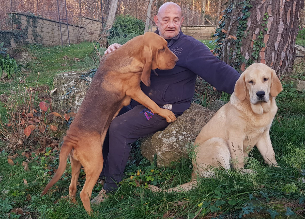 Rai Report e Enci, la cinofilia in rivolta. Gli allevatori:”Manca una legge seria”