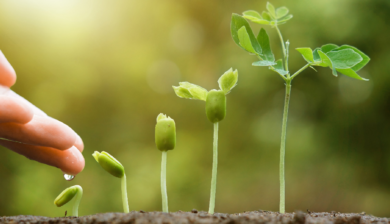 BPER Banca, nel 2024 migliorano i rating  di sostenibilità