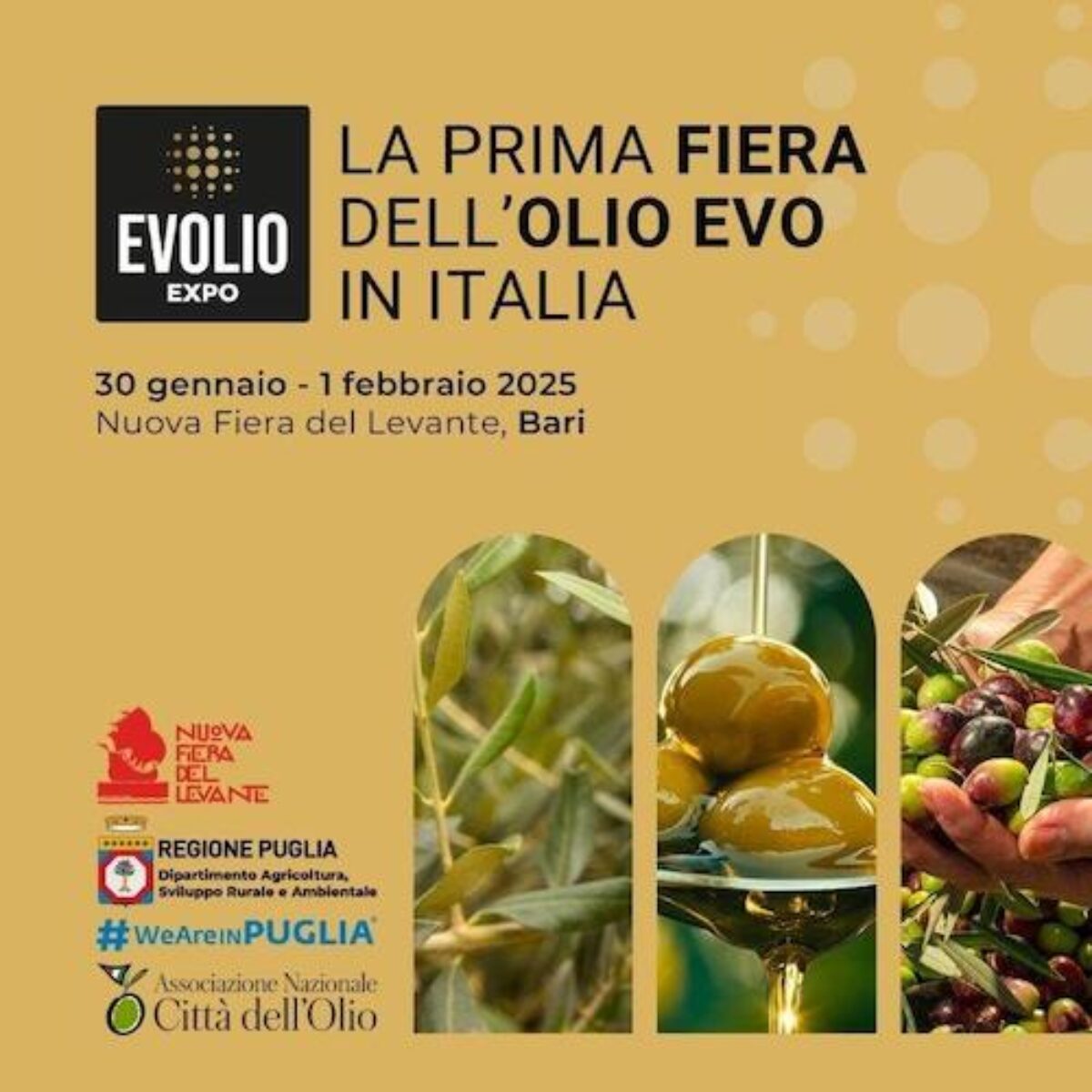 Evolio Expo: in Fiera del Levante 3 giorni dedicati all’Evo del Mediterraneo