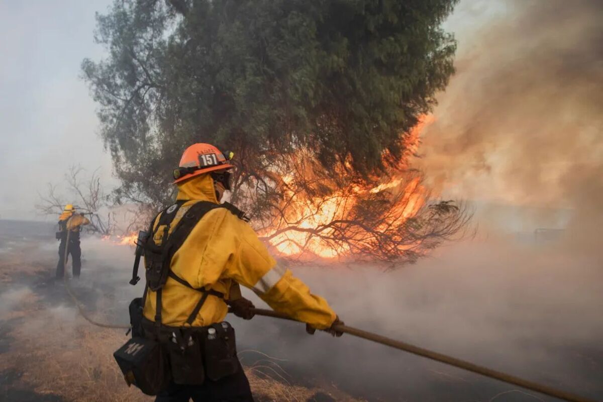 Los Angeles brucia ancora, nuovo incendio a nord della città: 31mila evacuati