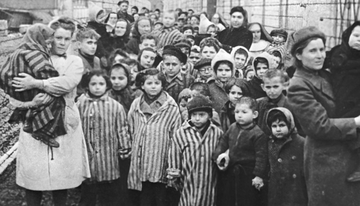 Giorno della memoria, la storia di Elisa Springer: la viennese ebrea che dopo essere sopravvissuta ad Auschwitz ha sposato un manduriano Giorno della memoria, la storia di Elisa Springer: la viennese ebrea che dopo essere sopravvissuta ad Auschwitz ha sposato un manduriano