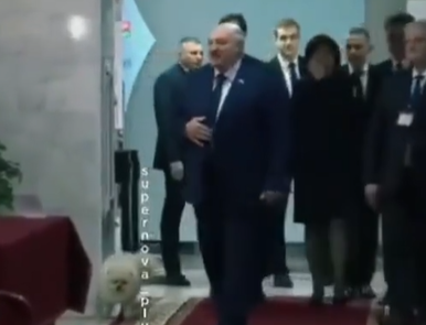 Lukashenko rieletto presidente della Bielorussia: l’arrivo al seggio col suo cane. VIDEO