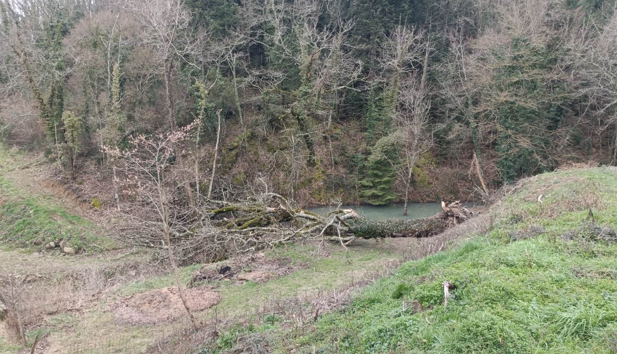 ANBI, danni del vento in Toscana: la proposta per una gestione fluviale migliore ANBI, danni del vento in Toscana: la proposta per una gestione fluviale migliore