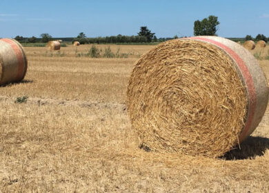 Muore 27enne schiacciato da una rotoballa. Tragedia sul lavoro nel Mantovano