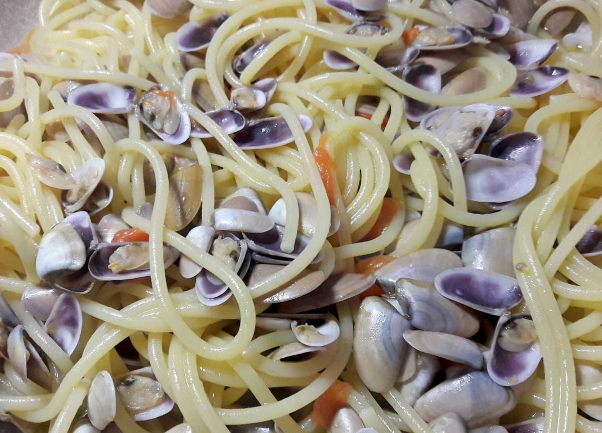 Spaghetti con le telline, arriva il marchio Dop del mollusco. Il disciplinare