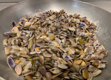 Spaghetti con le telline, arriva il marchio Dop del mollusco. Il disciplinare