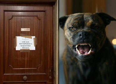 Bambina uccisa dal pitbull, un nuovo dettaglio complica il caso: la famiglia ha ripulito la casa prima del sopralluogo della polizia