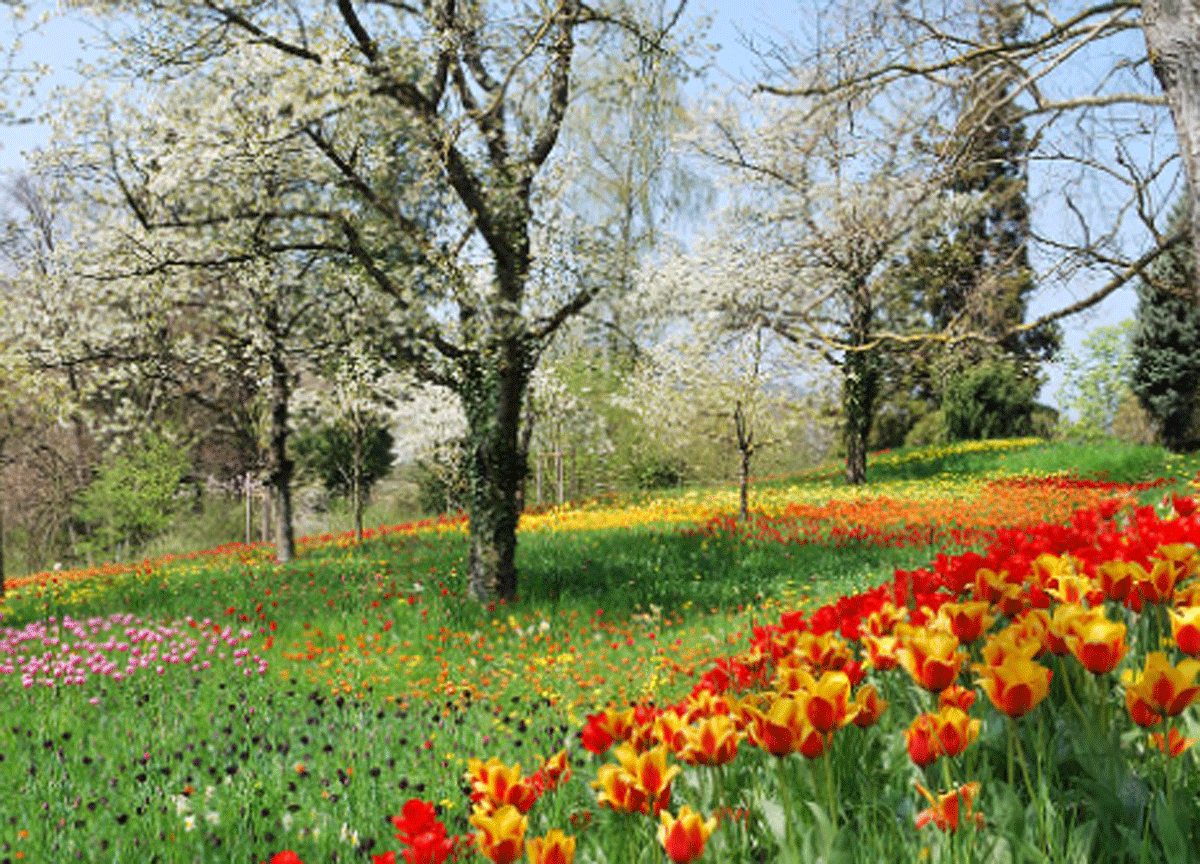 Meteo, la primavera è arrivata ufficialmente tra schiarite e rovesci improvvisi: ecco quanto durerà