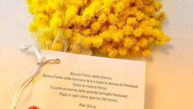 Pier Silvio Berlusconi, mimose (in anticipo) a tutte le dipendenti Mediaset per la Festa della Donna