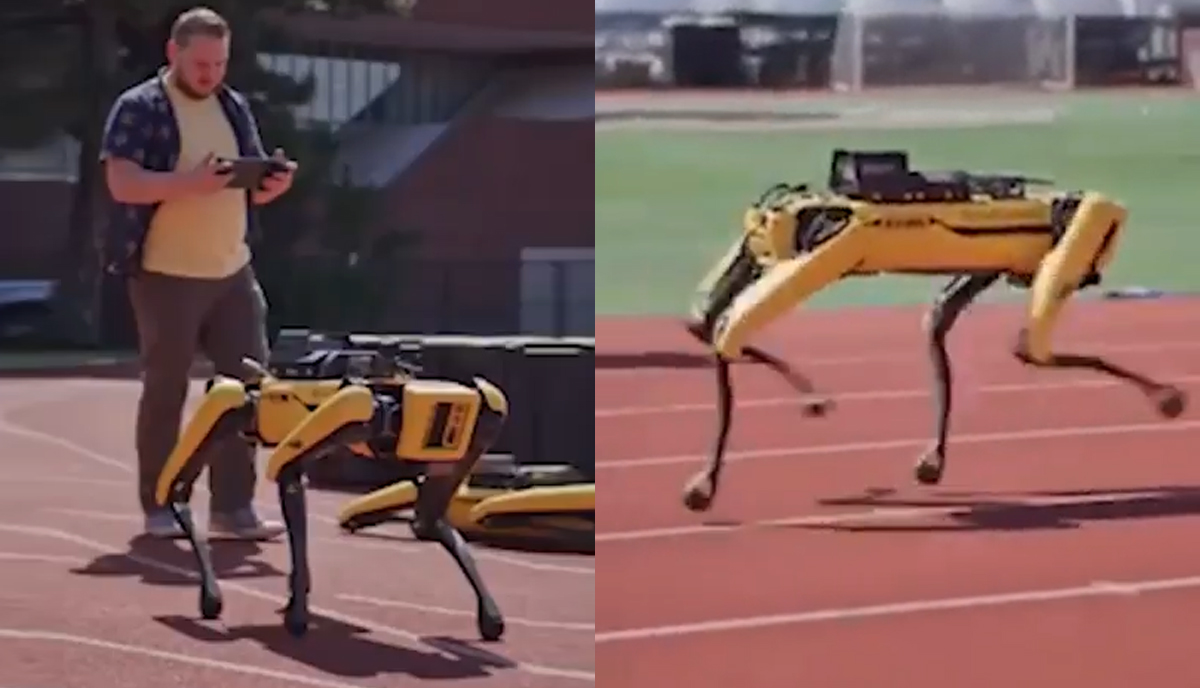 I cani robot ora corrono più veloci delle persone, il video che inquieta i più diffidenti. VIDEO I cani robot ora corrono più veloci delle persone, il video che inquieta i più diffidenti. VIDEO