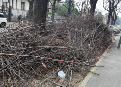 Milano, degrado in via Timavo: cresce la rabbia dei residenti
