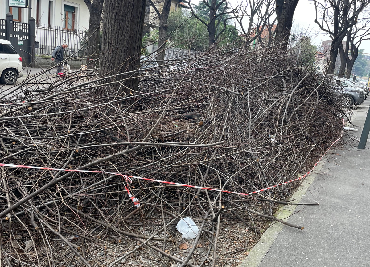 Milano, degrado in via Timavo: cresce la rabbia dei residenti Milano, degrado in via Timavo: cresce la rabbia dei residenti