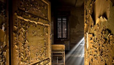 Alessandro Borghese e le “Emozioni Scomposte”: l’arte va in gol con la cucina – La suggestiva mostra fotografica