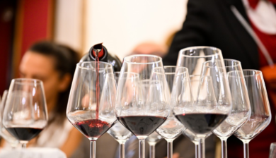 Primitivo di Manduria a Vinitaly 2025: tra eventi, innovazione e grandi firme