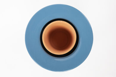 La ricerca di R+S, dalla memoria delle piante a rischio al racconto dell’acqua e del fuoco in forma di design