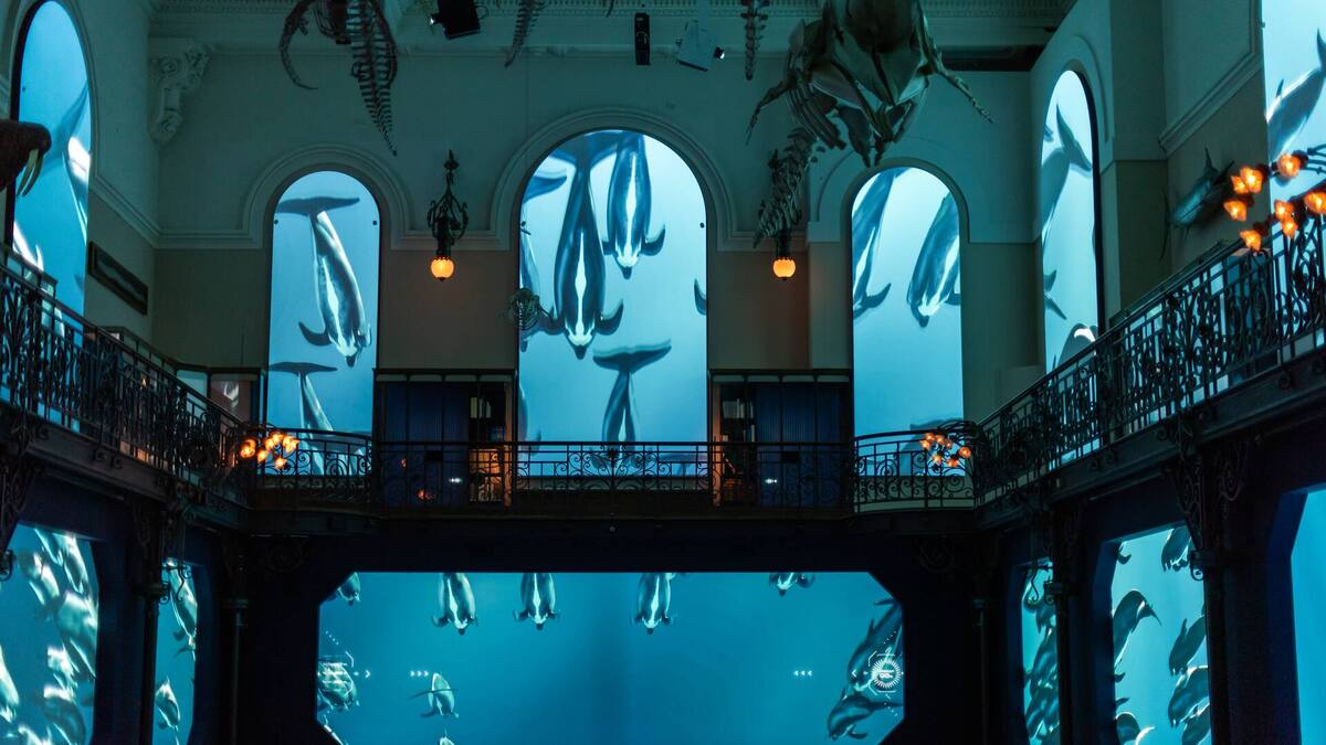 Il futuro del Mediterraneo in mostra nel Principato di Monaco