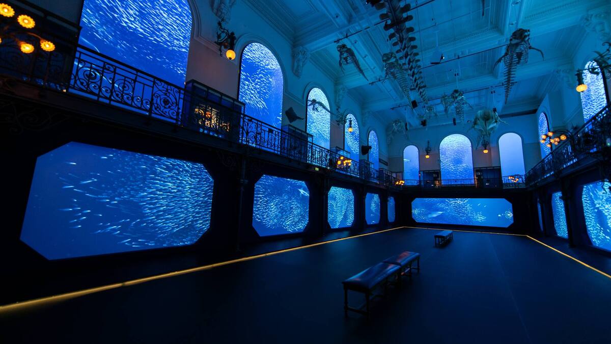 Il futuro del Mediterraneo in mostra nel Principato di Monaco