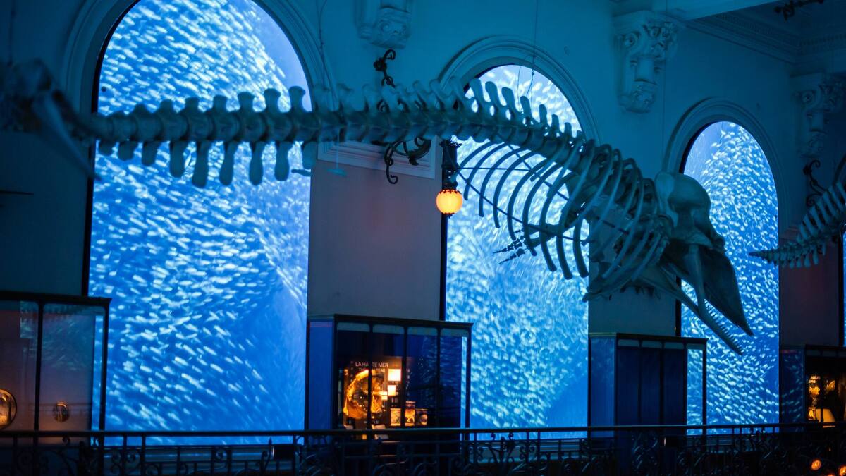 Il futuro del Mediterraneo in mostra nel Principato di Monaco