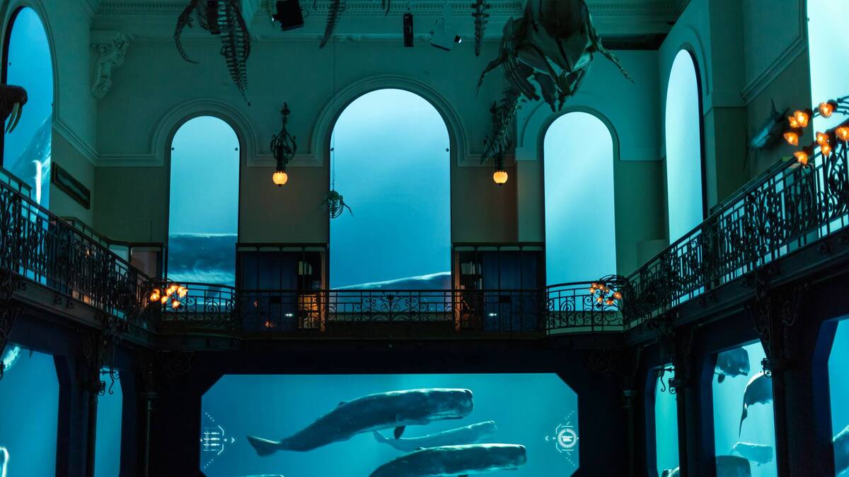 Il futuro del Mediterraneo in mostra nel Principato di Monaco