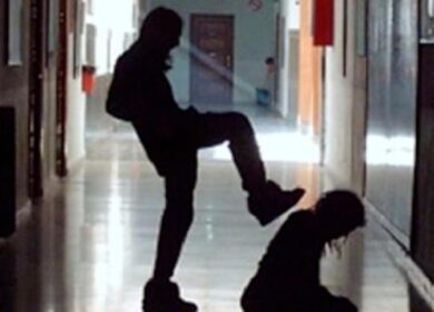 Bullismo e deliquenza: la pianta va raddrizzata quando è ancora giovane