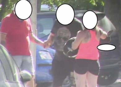 Tivoli, nonna droga, 79 anni e il summit nel pollaio per non essere intercettata