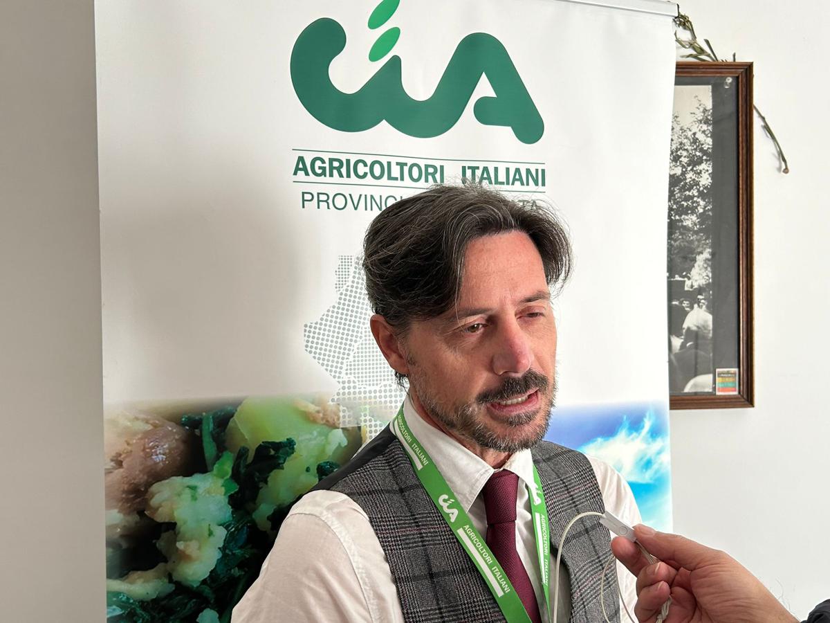 Rifiuti nelle campagne, la Puglia istituisce un Fondo per i Comuni