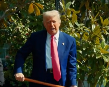 Casa Bianca, Trump si improvvisa giardiniere e pianta una magnolia scavando con una pala. VIDEO