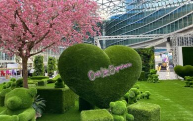 Oasi Life Experience: il design vola alto dal cuore di Milano