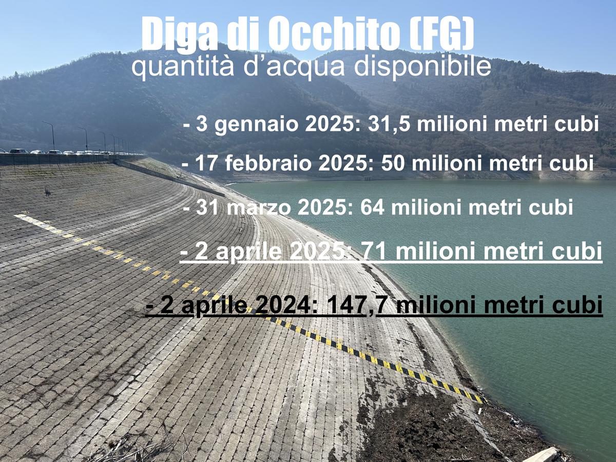 Siccità: Coldiretti Puglia, negli invasi la metà dell’acqua del 2024